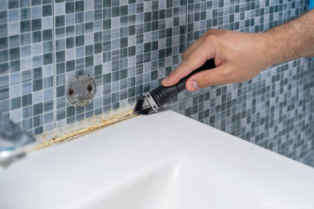 Best Mold Testing  in West Lafayette, IN